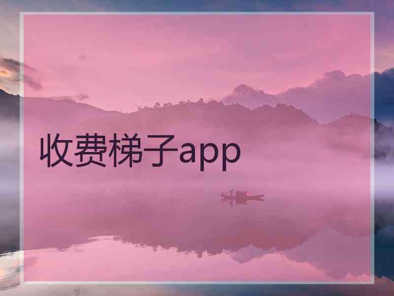 收费梯子app