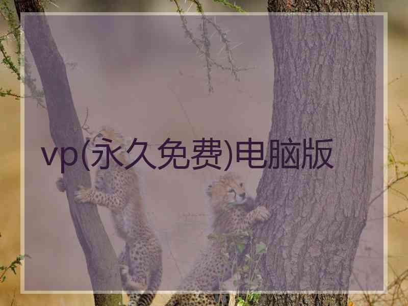 vp(永久免费)电脑版