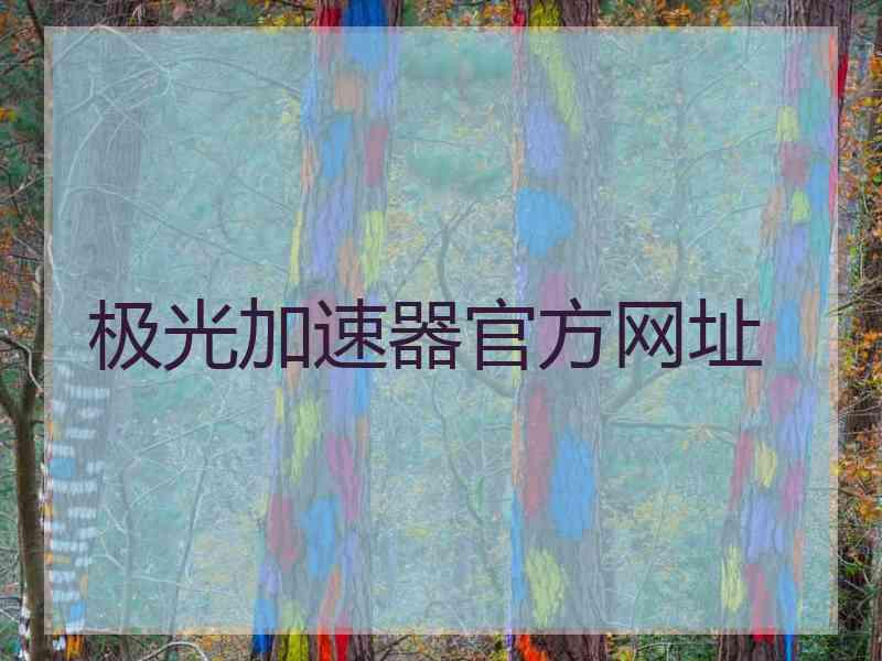 极光加速器官方网址