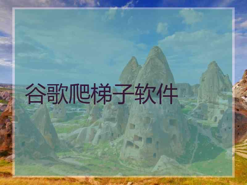 谷歌爬梯子软件
