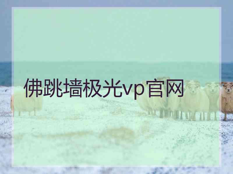 佛跳墙极光vp官网