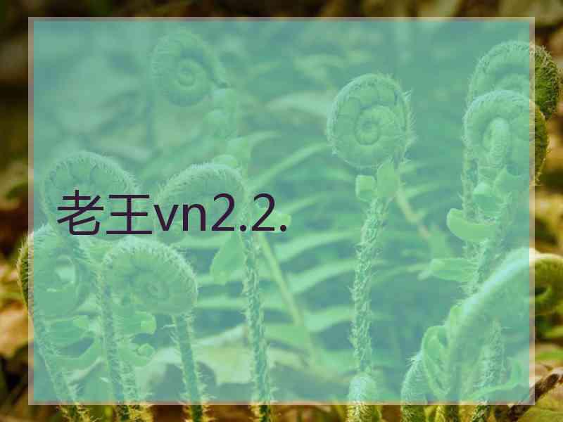 老王vn2.2.