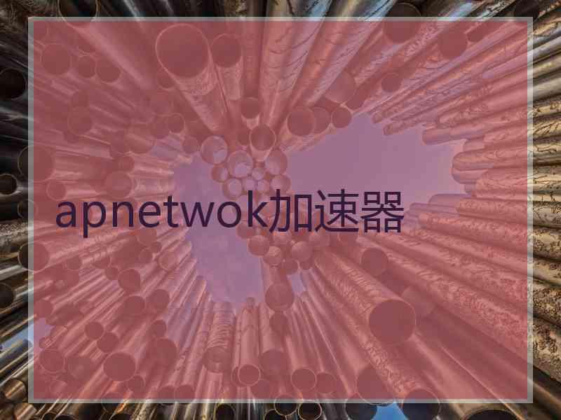 apnetwok加速器
