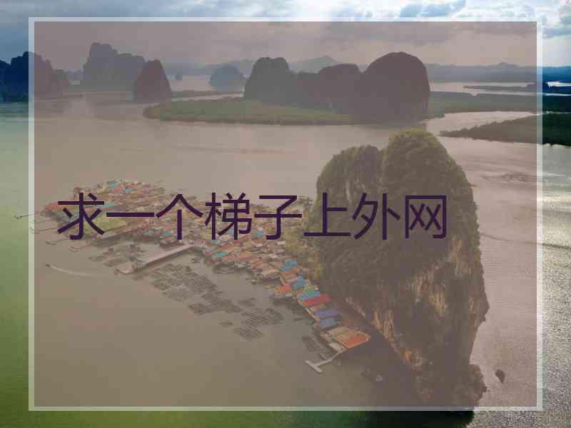 求一个梯子上外网