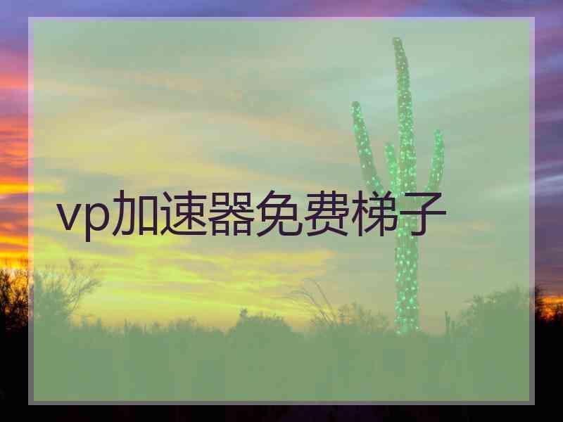 vp加速器免费梯子
