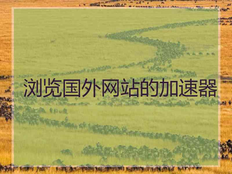 浏览国外网站的加速器