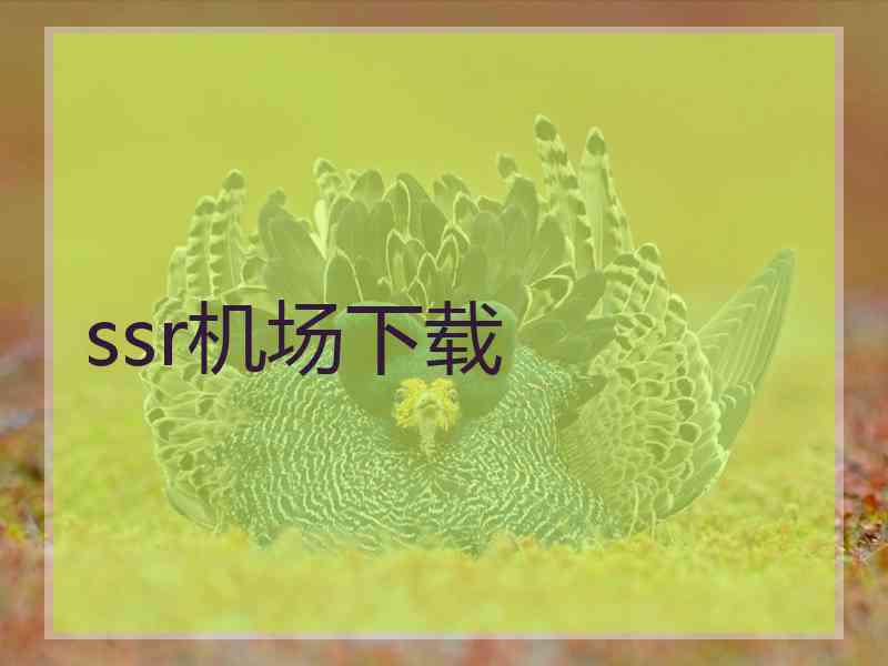 ssr机场下载