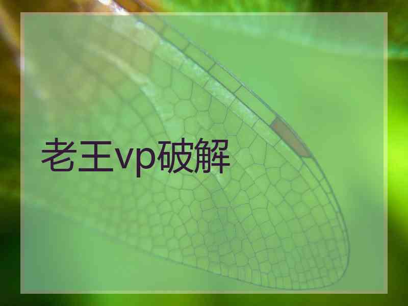 老王vp破解
