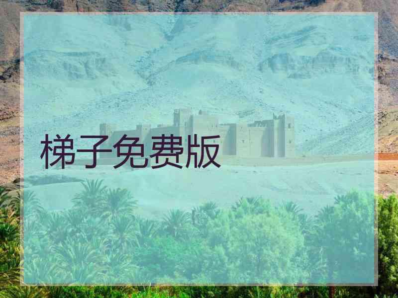 梯子免费版