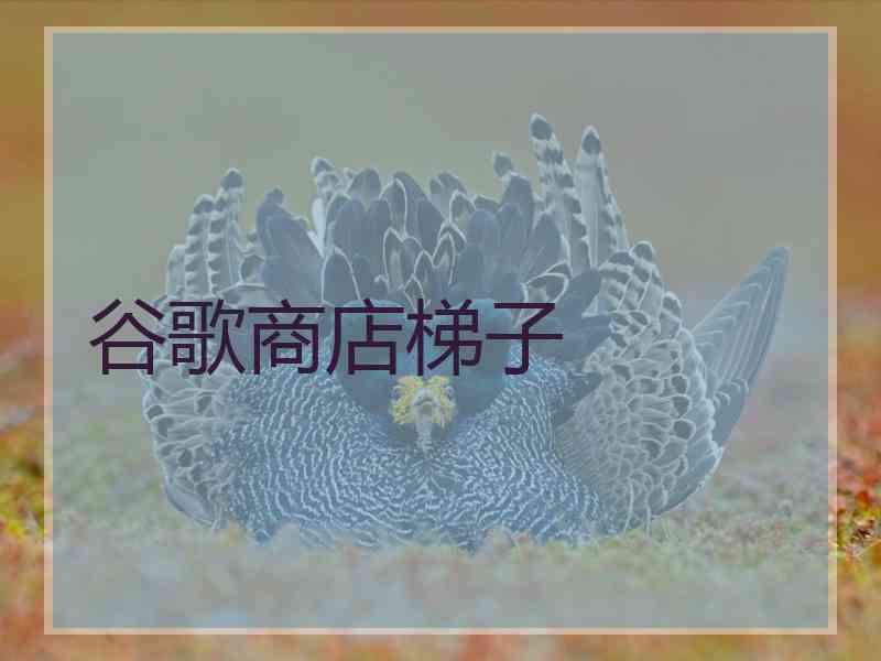 谷歌商店梯子