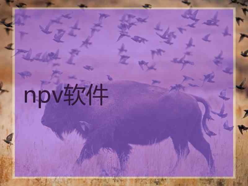 npv软件