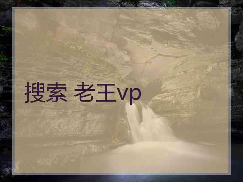 搜索 老王vp