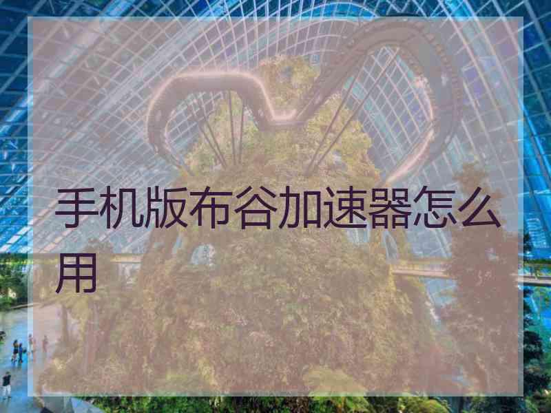 手机版布谷加速器怎么用