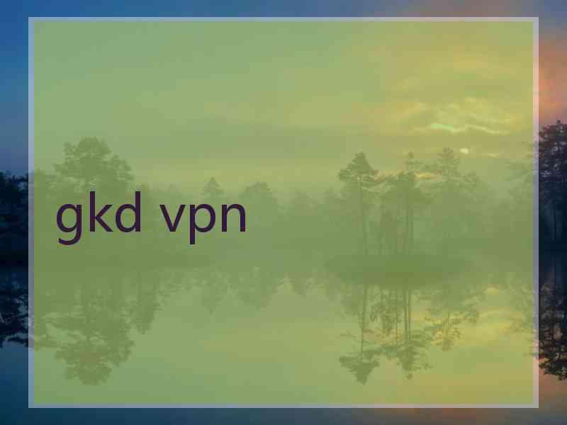 gkd vpn