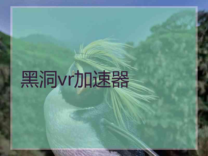 黑洞vr加速器