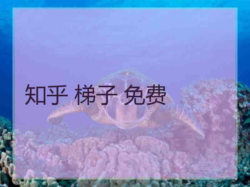 知乎 梯子 免费