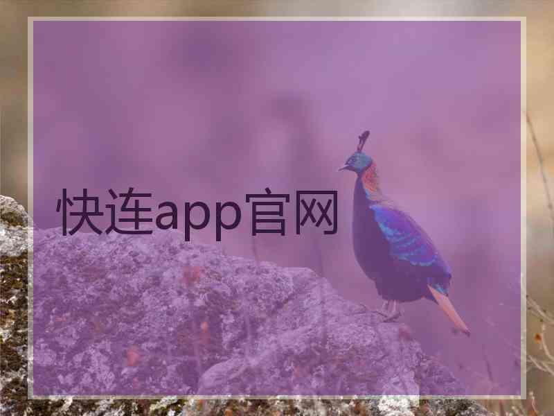 快连app官网