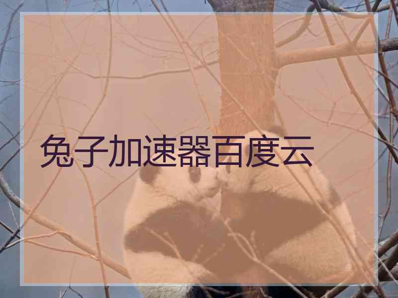 兔子加速器百度云