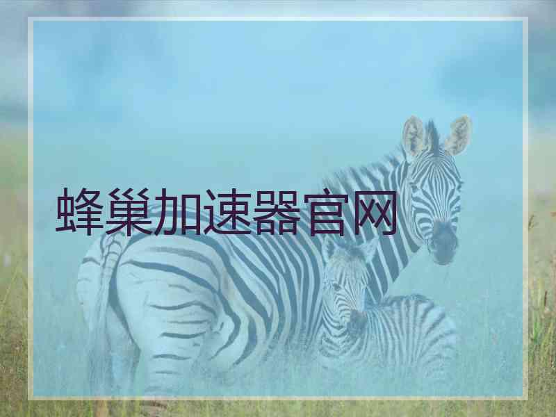 蜂巢加速器官网
