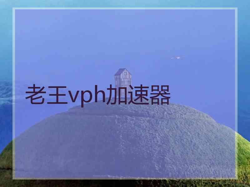 老王vph加速器
