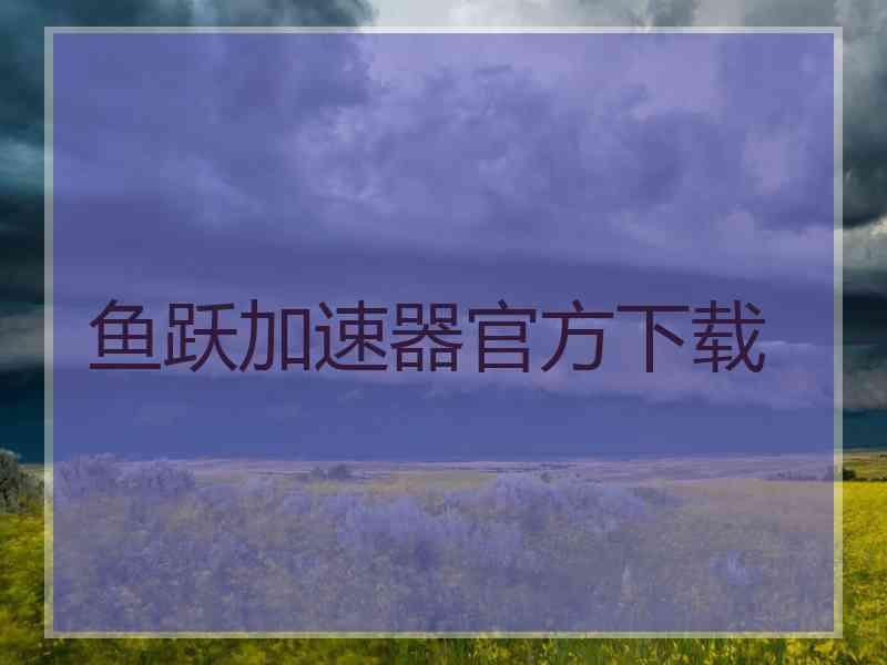 鱼跃加速器官方下载