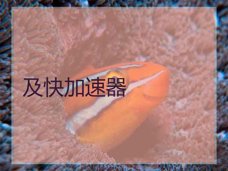 及快加速器