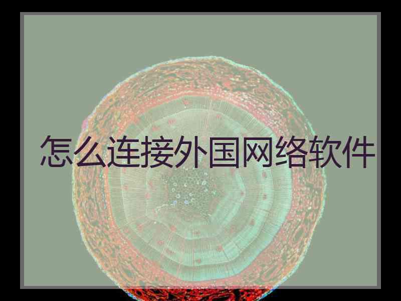 怎么连接外国网络软件