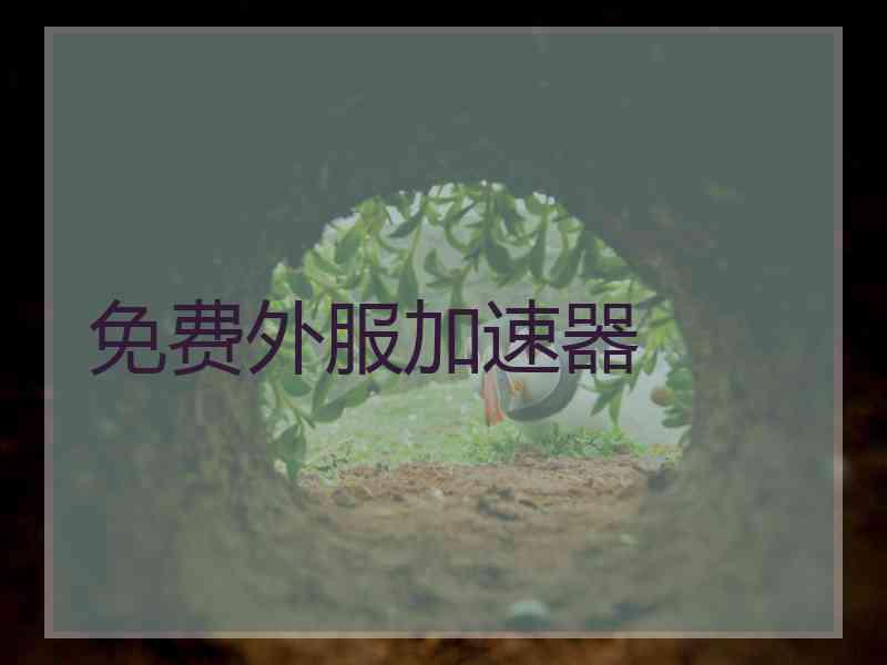 免费外服加速器