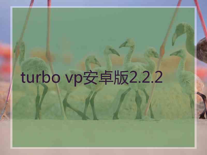 turbo vp安卓版2.2.2