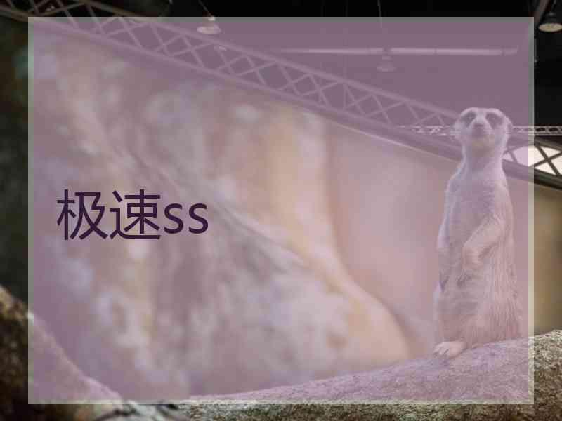 极速ss