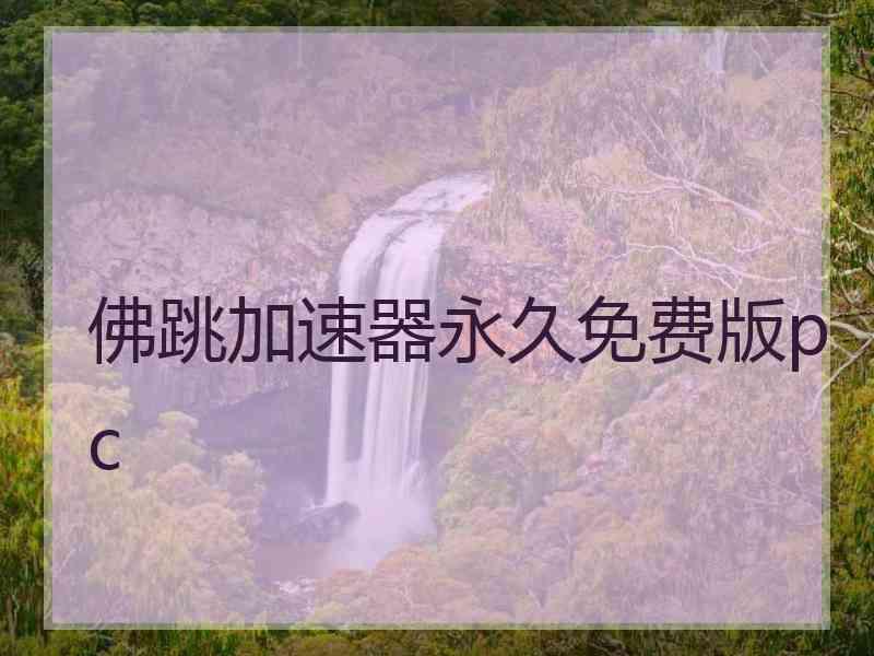 佛跳加速器永久免费版pc