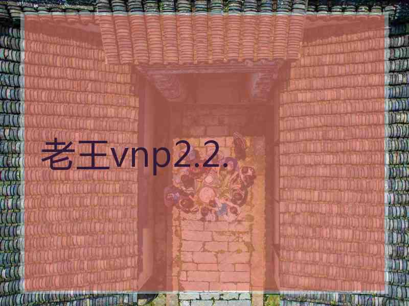 老王vnp2.2.