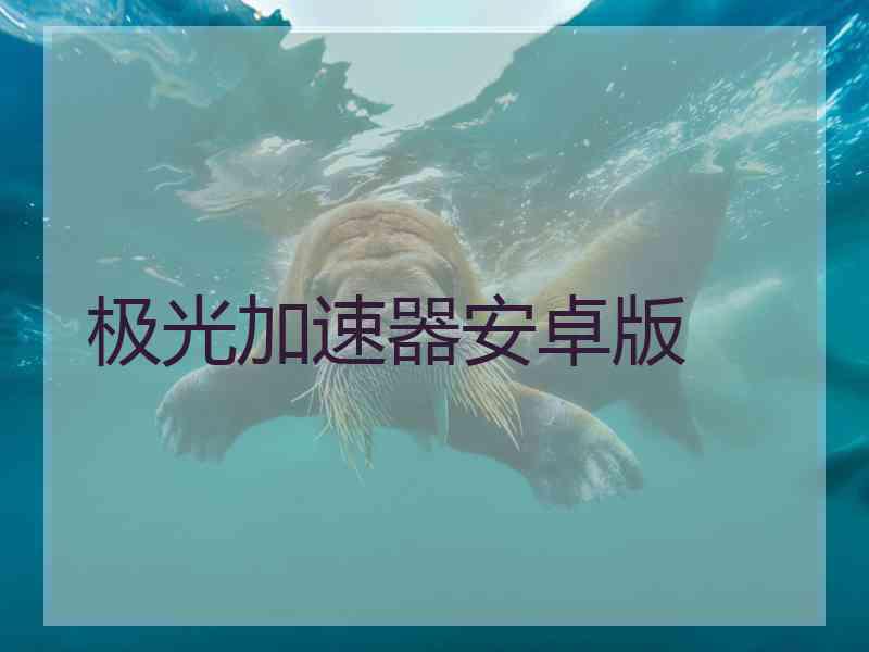 极光加速器安卓版