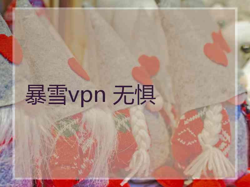 暴雪vpn 无惧