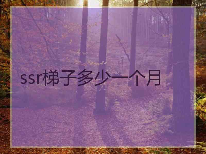 ssr梯子多少一个月