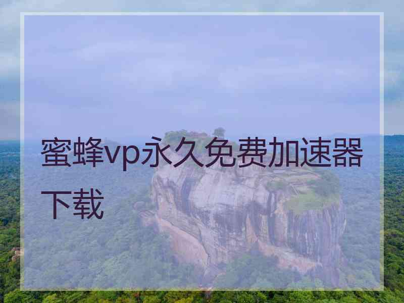 蜜蜂vp永久免费加速器下载