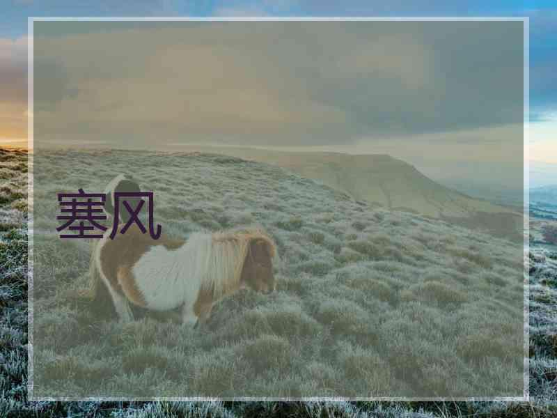 塞风
