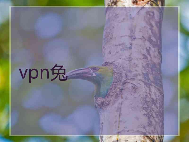 vpn兔