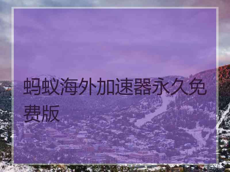 蚂蚁海外加速器永久免费版
