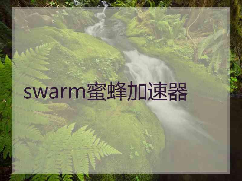 swarm蜜蜂加速器