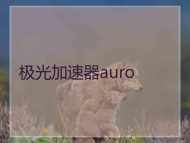 极光加速器auro