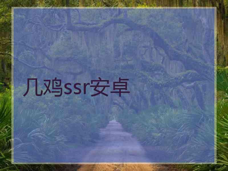 几鸡ssr安卓