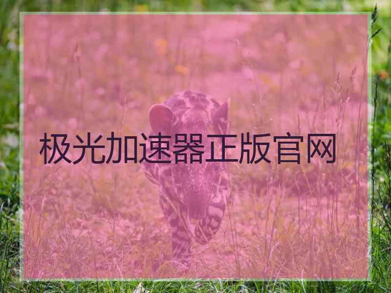 极光加速器正版官网