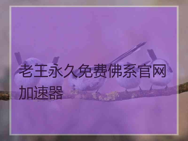 老王永久免费佛系官网加速器