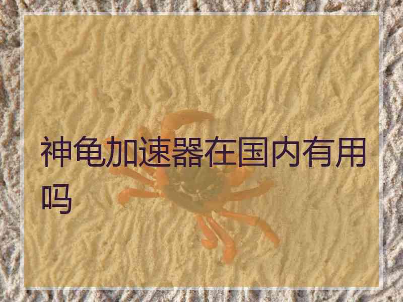 神龟加速器在国内有用吗