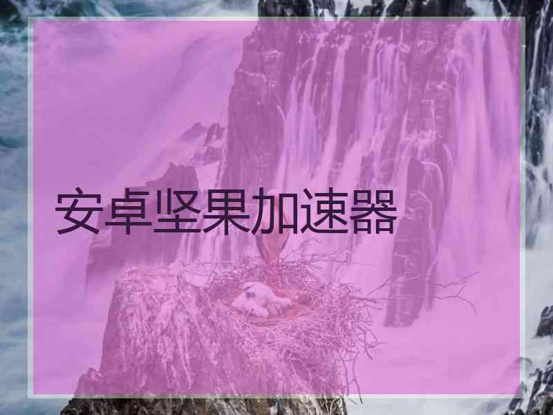 安卓坚果加速器