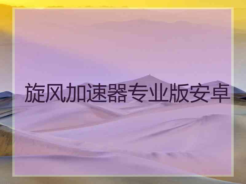 旋风加速器专业版安卓