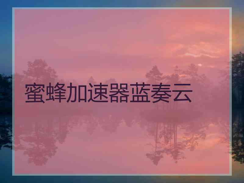 蜜蜂加速器蓝奏云