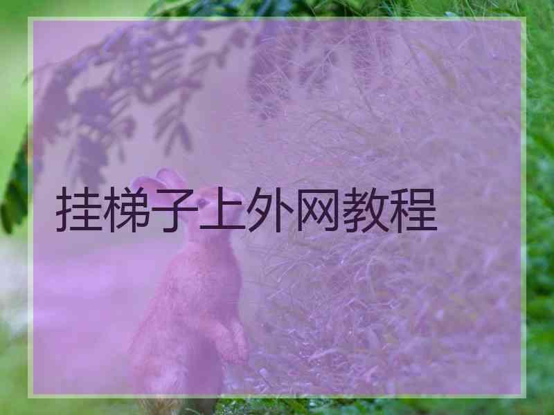 挂梯子上外网教程