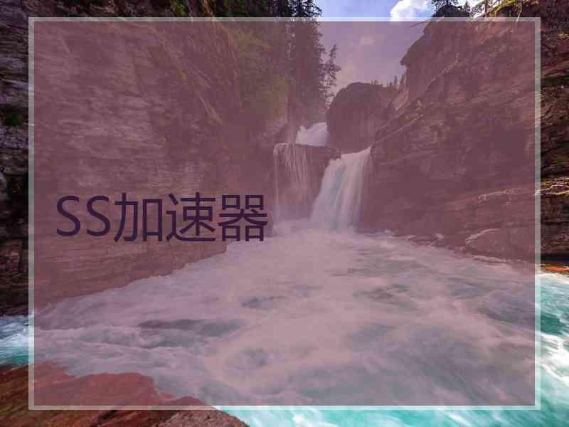 SS加速器